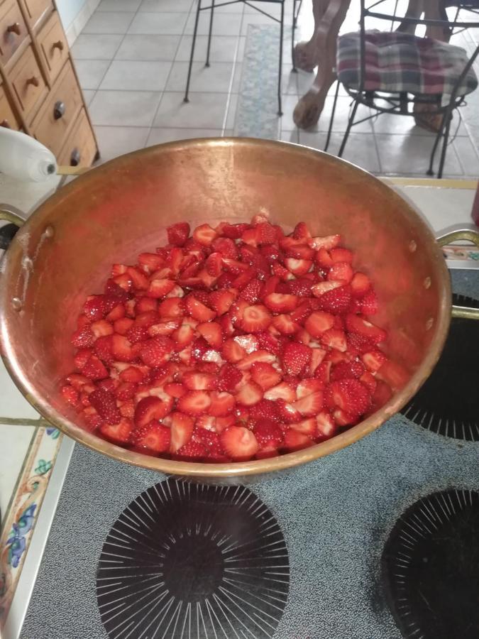 Les Haies Vives Choisy Zewnętrze zdjęcie