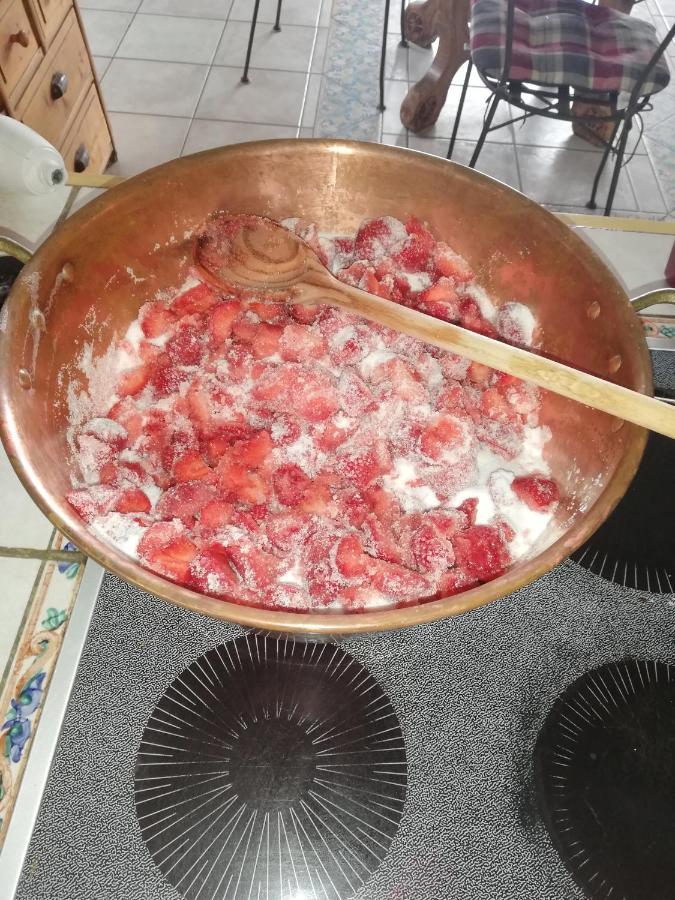 Les Haies Vives Choisy Zewnętrze zdjęcie